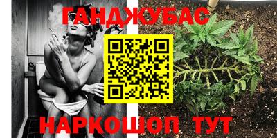 сатива Жуковский