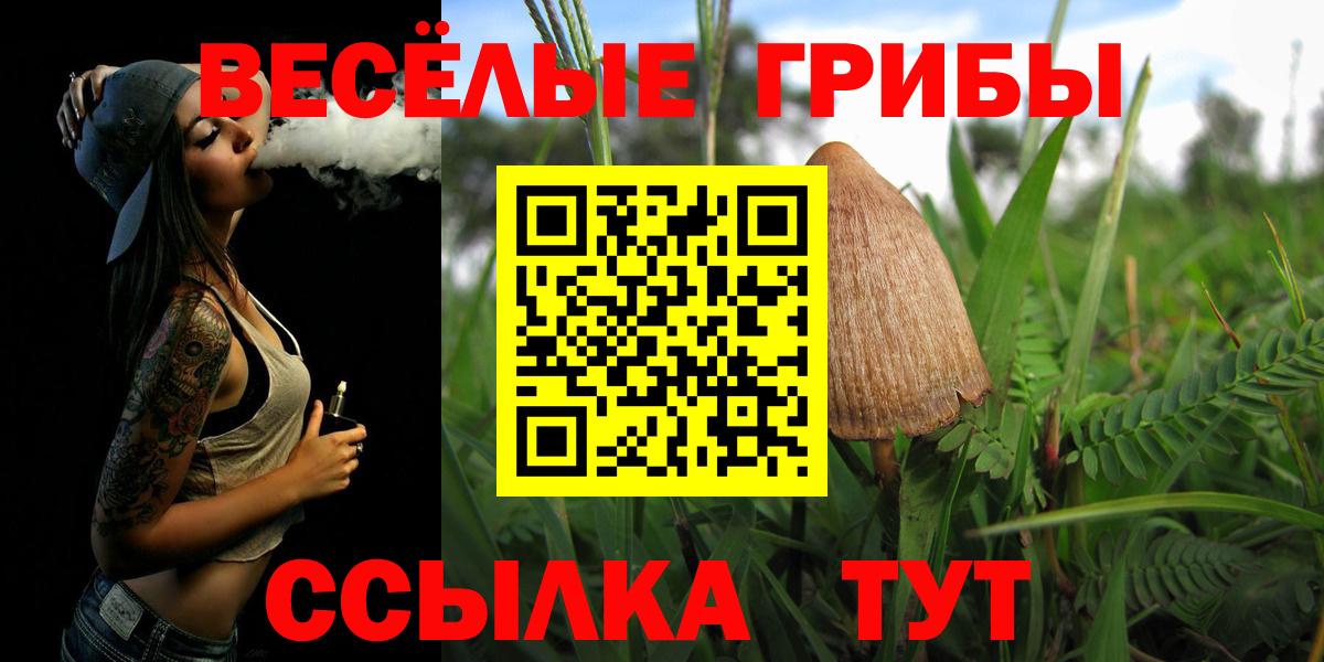 Галлюциногенные грибы мухоморы Кондопога
